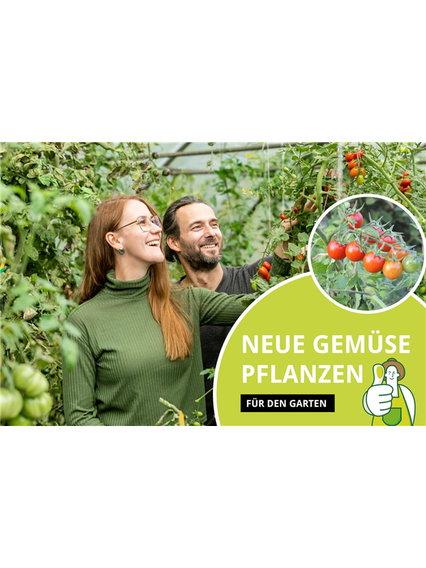 Neue Gemüse-Pflanzen