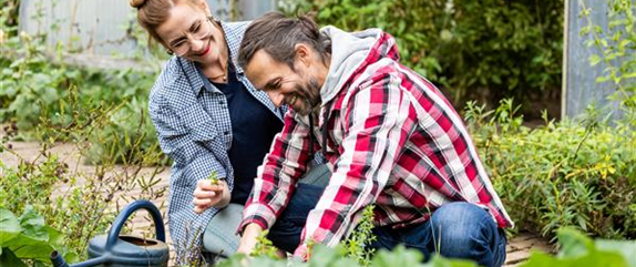 Gartenarbeit im August: Tipps und Tricks für einen bunten Sommer