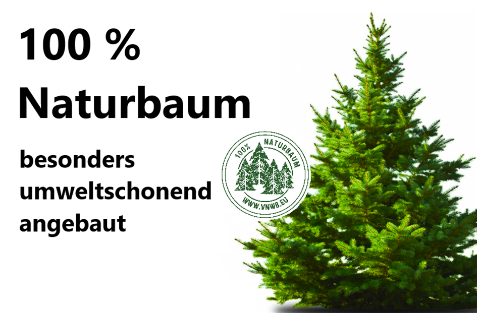 Bayerstorfer Gartencenter_Christbaum Moosburg_Christbaum_Landshut_GartencenterFrreising.png